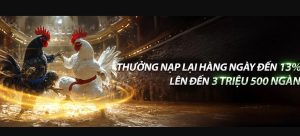Đá Gà AW8 - Sân Chơi Hấp Dẫn Với Phong Cách Đấu Độc Đáo