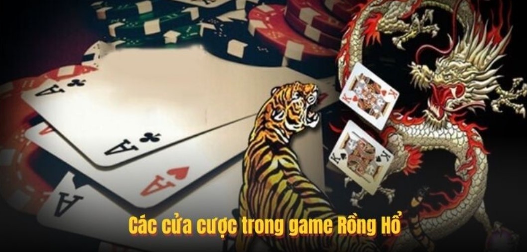 Rồng Hổ AW8 - Tìm Hiểu Chi Tiết Từ A Đến Z Về Sân Chơi